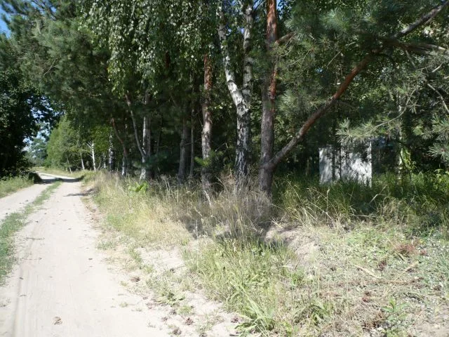 Zdjęcie z galerii
